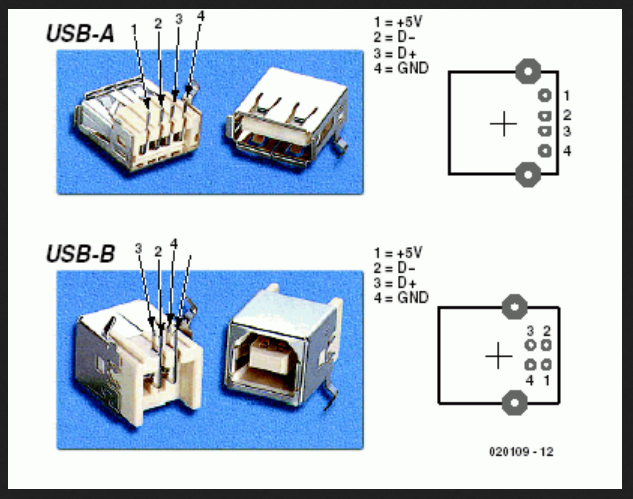 pinologia_USB-B.png