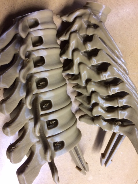 t-rex tail parts PLA+.jpg