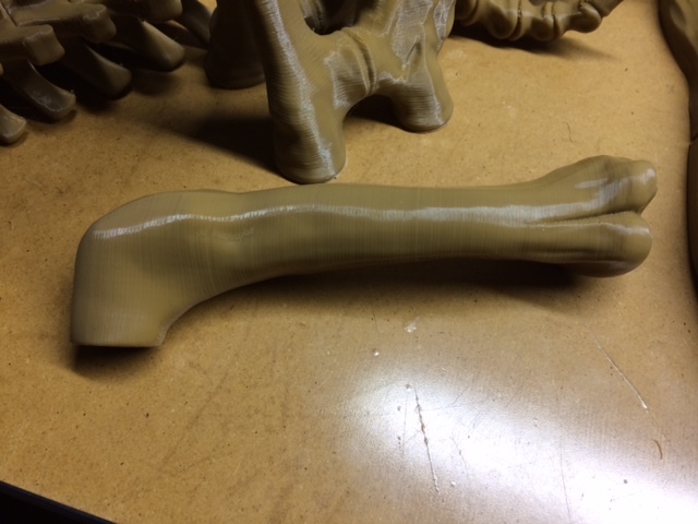 t-rex femur PLA+.jpg