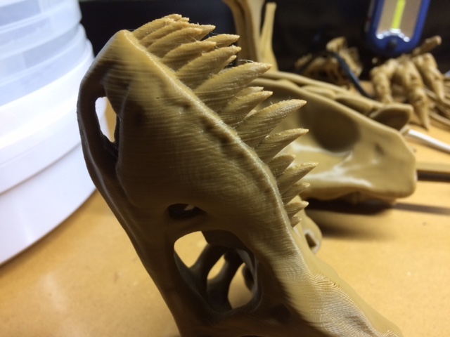 t-rex skull 2 PLA+.jpg