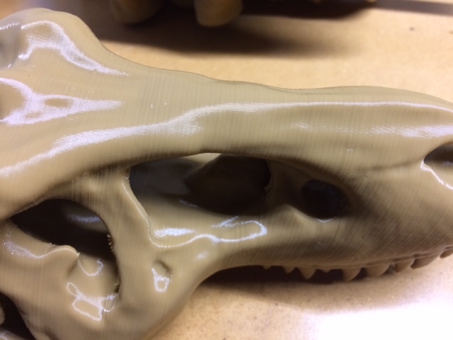 t-rex skull 1 PLA+.jpg