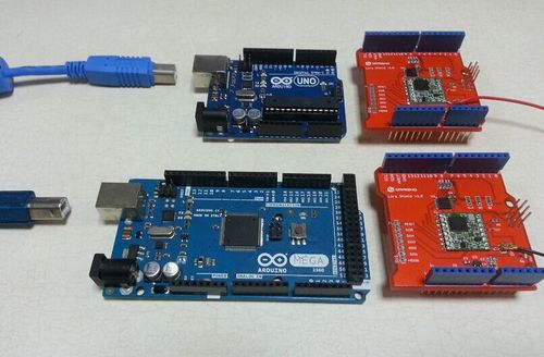 Lora Shields and Arduino boards.jpg