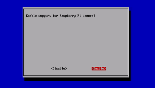 Raspi config camera 02.png