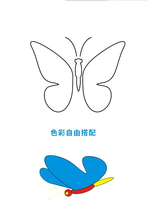 butterfly